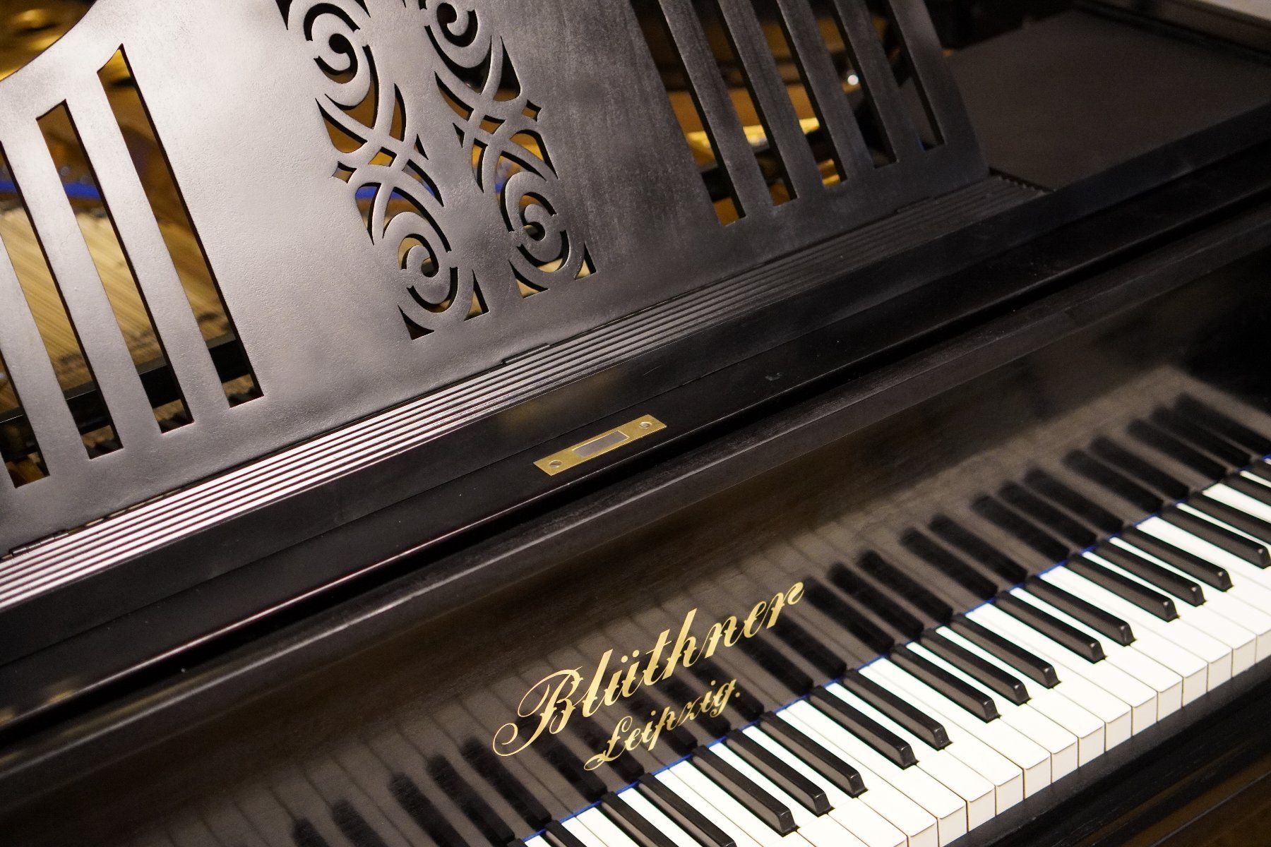 Strumenti musicali: Flügel Blüthner 190cm – Usato da Küttigen venduto da PianoSarbach 7