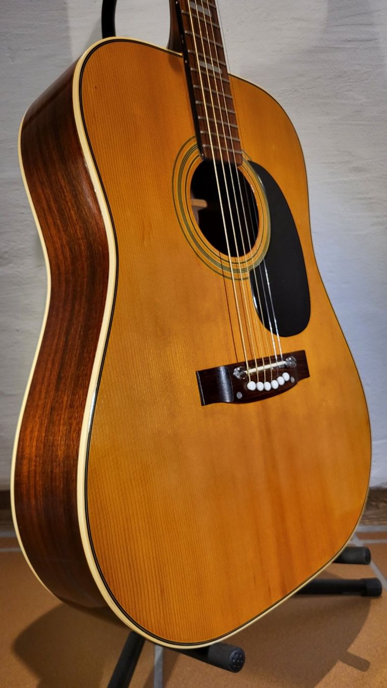 Strumenti musicali: Western Gitarre Terada FW503 – Usato da Winterthur venduto da NorrSydGuitars 8