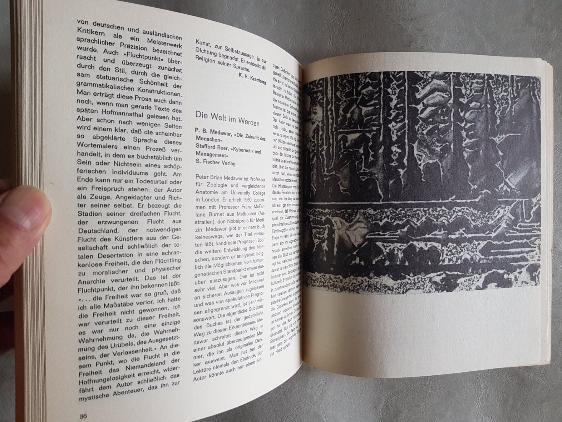 Libri: Deutsche Rundschau 3/1989 – Usato da Walterswil BE venduto da Lonitti 6