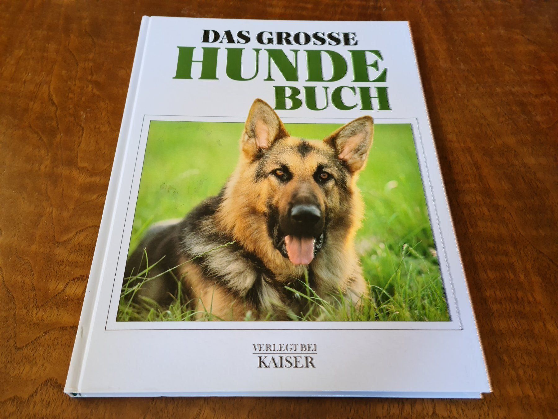 Libri: Das grosse Hunde Buch – Usato da Erstfeld venduto da Uhu1980