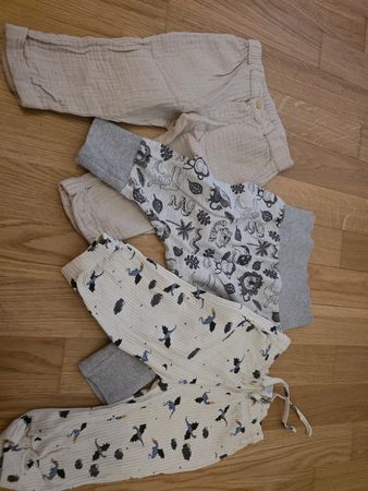 Hosen 74