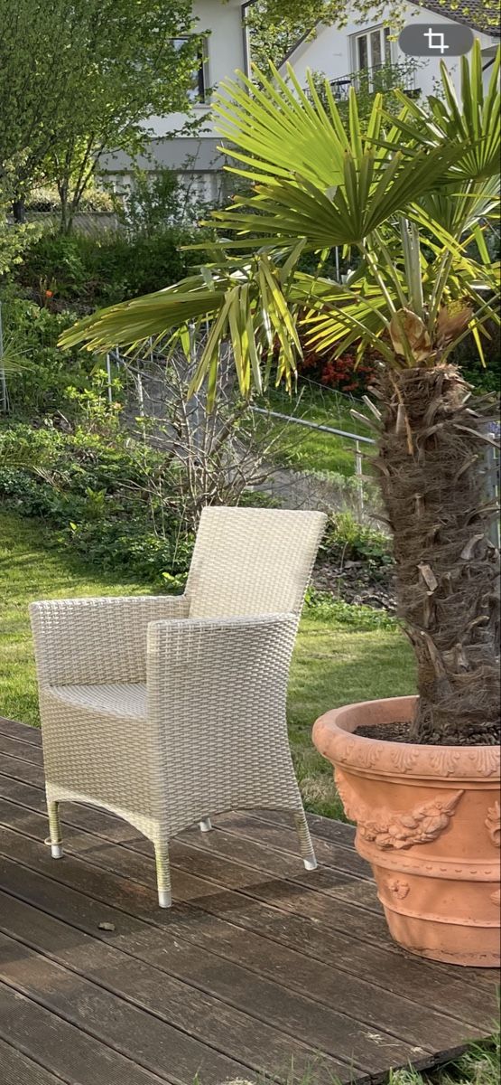 Sedie: Gartenstuhl 4er-Set – Usato da Spiegel b. Bern venduto da twinter01