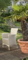 Gartenstuhl 4er-Set