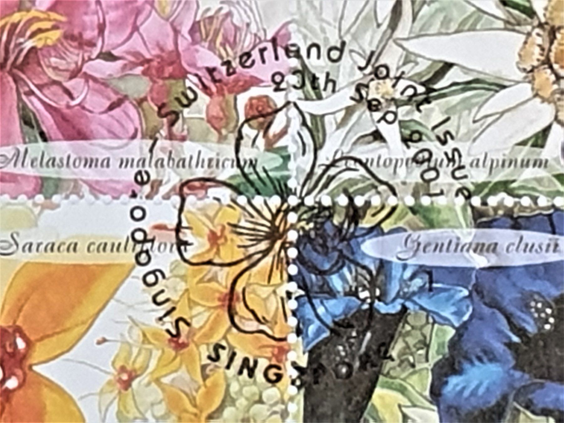 Tutti i francobolli: (184)  2001 Singapur-Schweiz "Blumen" – Usato da Schwarzhäusern venduto da Inot3 8