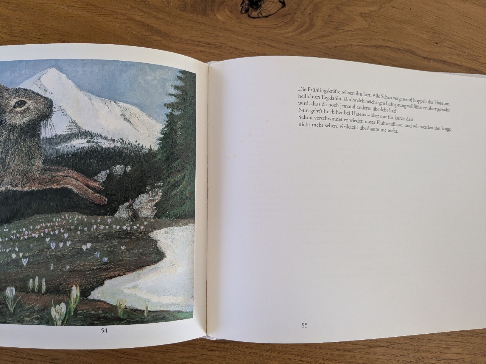 Libri: Peter Bergmann - Hasenjahr - Zytglogge – Usato da Wohlen AG venduto da merkur0300 6