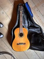 Aria AK-600 akustische Gitarre inkl. Ritter-Rucksack