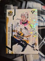 Philip Michael Devos HC Ajoie Sportzoo 2024/25 Green