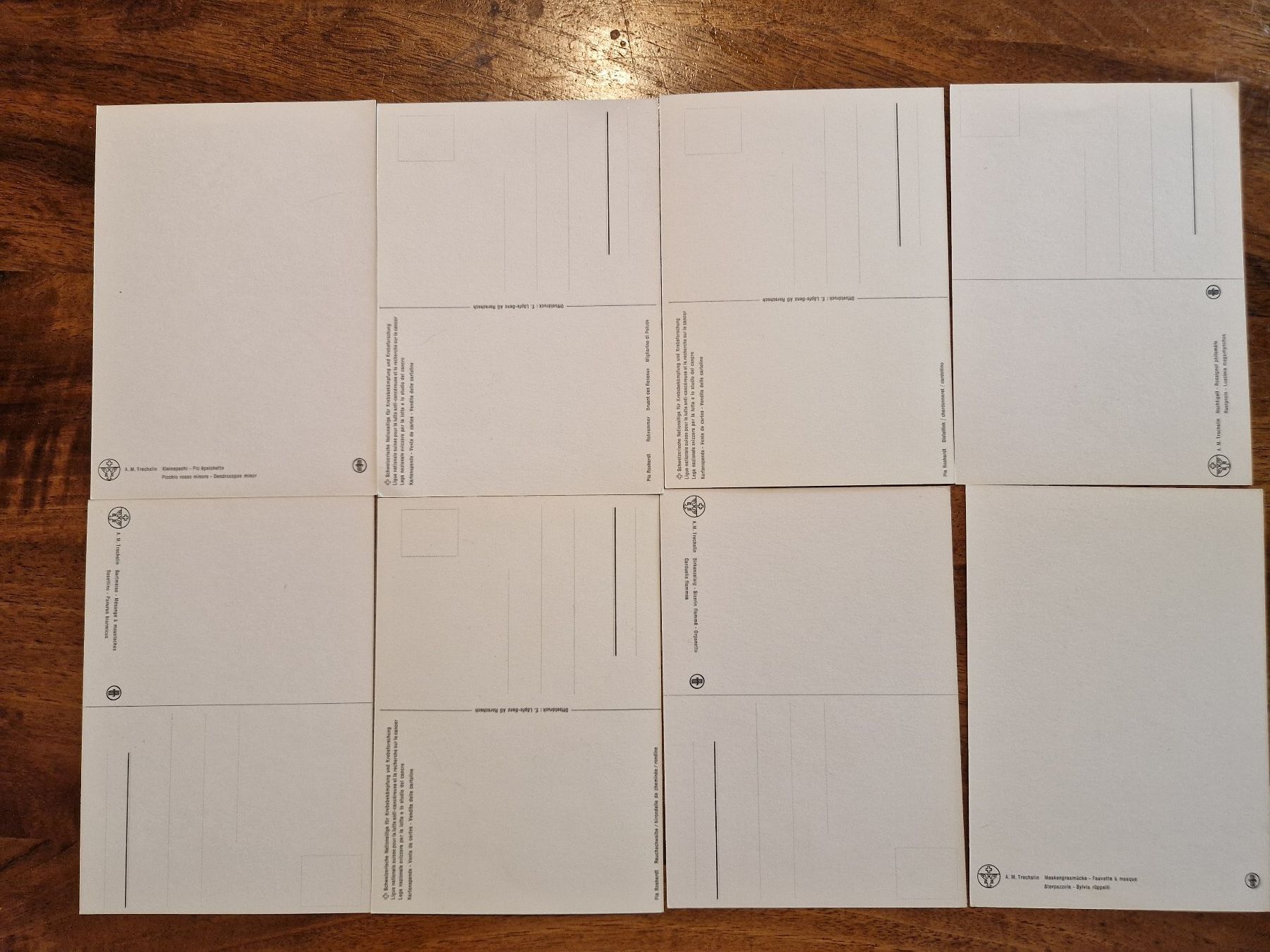 Cartoline postali: 8 Postkarten Vögel Europas ca Jahr 1970 – Nuovo (secondo la descrizione) da Horgen venduto da lemisk 1