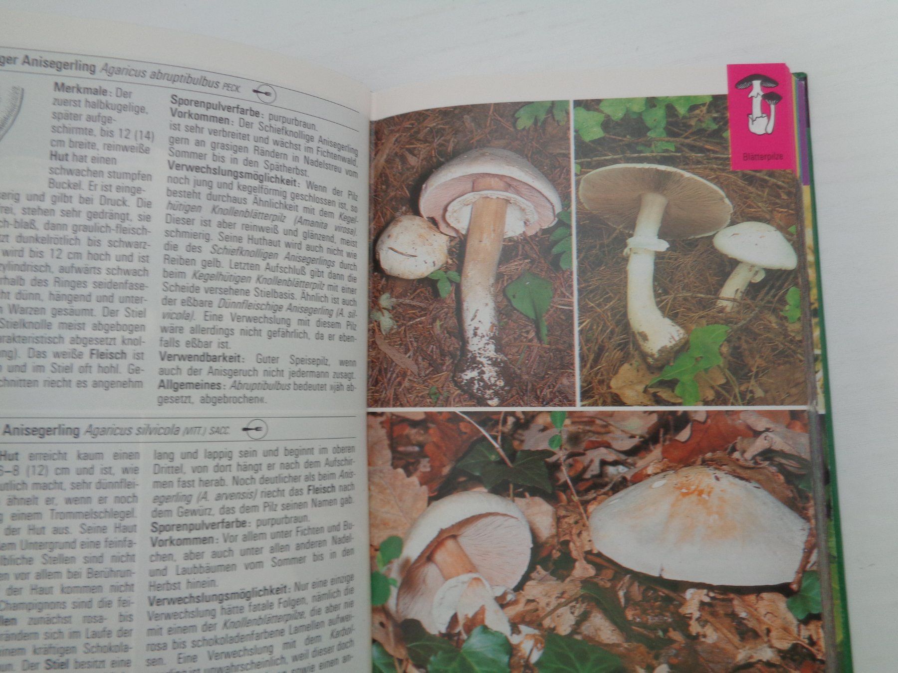 Libri: Pilze - die farbigen Naturführer – Usato da Chur venduto da Oregano1 7