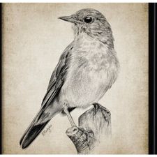 Profile image of Nightingale_2022