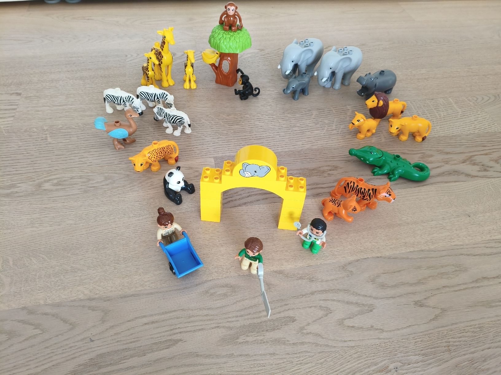 Lego Spielzeuge: Duplo Zoo – Gebraucht aus Rotkreuz von bau_n6m6 1