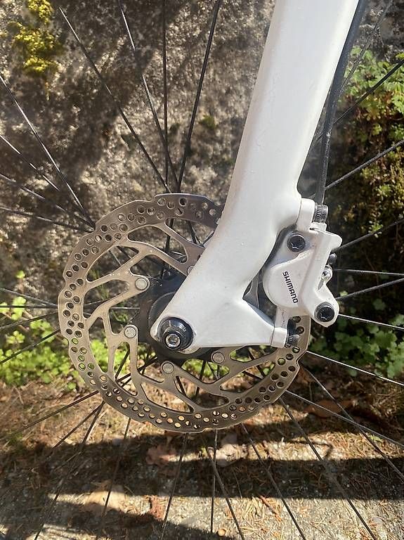 Biciclette: Bmc Alpenchallenge Taille S – Usato da La Tour de Peilz venduto da Propperdoc 3
