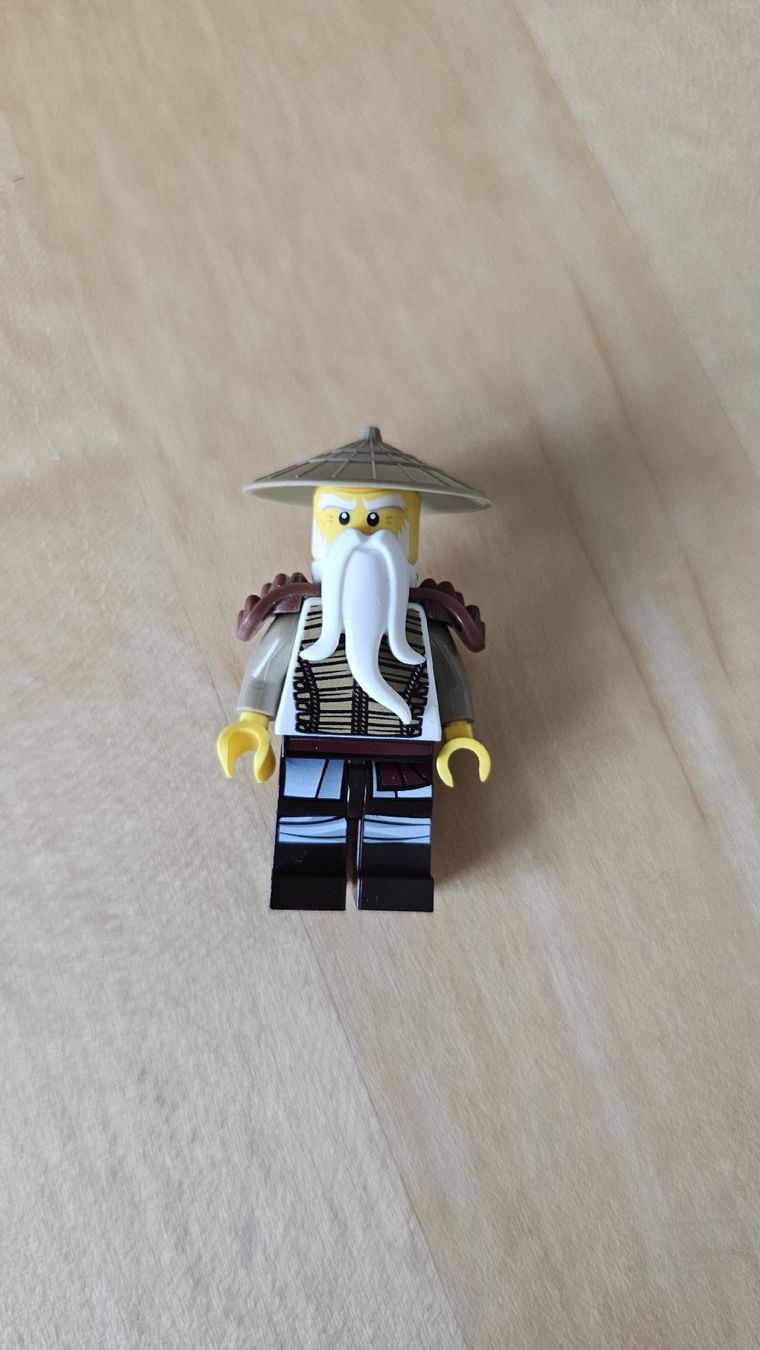 Lego Kit di costruzioni: Lego Ninjago Sensei Wu – Usato da Hinwil venduto da Manife