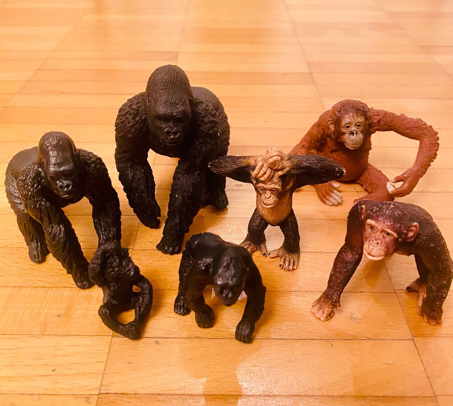 Schleich Giocattoli: Schleich Tiere - Affen – Usato da Küsnacht ZH venduto da Junge
