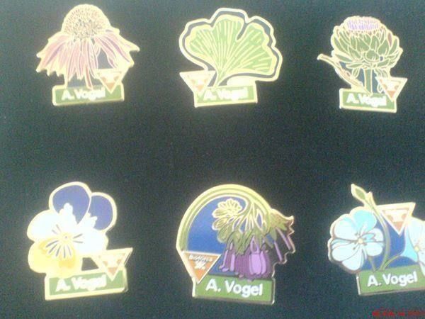 Placchette & Badge: 8x  A. Vogel Sonderedition Pins – Usato da Oftringen venduto da andrax 1