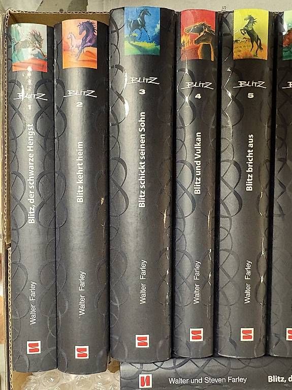 Libri: Blitz der schwarze Hengst 13 Bände – Usato da Schleinikon venduto da kar_8ww7 2