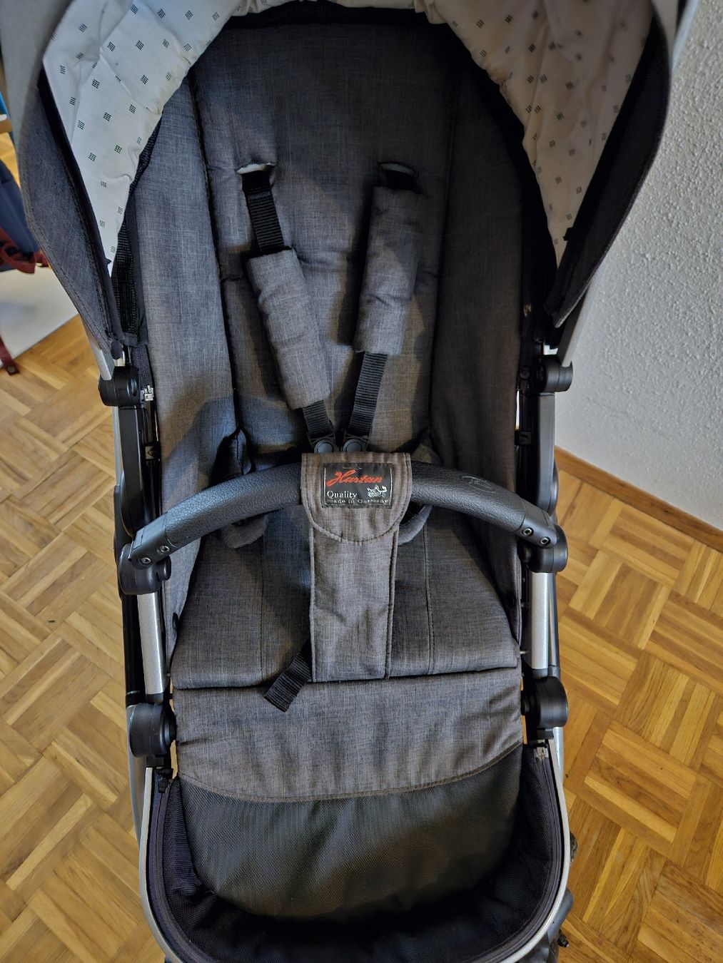 Hartan Carrozzine: Kinderwagen Hartan Racer GTX – Usato da Ebmatingen venduto da D.A.C. 4