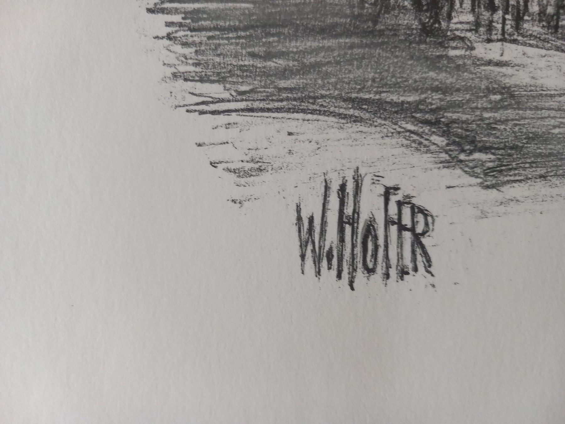 Grafica & Litografie: Lithografie von Walter Hofer – Usato da Uitikon Waldegg venduto da pkuster 3