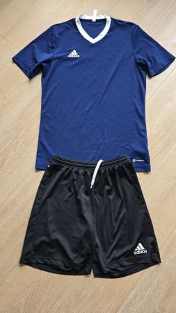 Sportset Adidas Trainer, Shorts und Shirt Gr. M