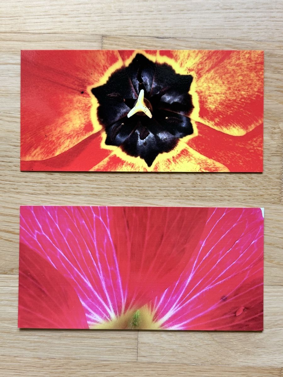 Karten: Fotokarten – Neu und originalverpackt aus Riehen von Claudia024