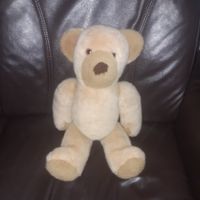 Kuscheliger Teddybär sucht neues Zuhause - Top Zustand!