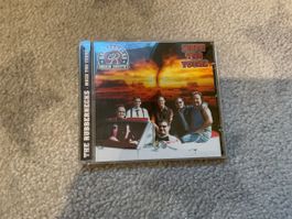 The Rubbernecks - Much Too Young CD