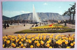 Genève - Quai Wilson et le Jet d' Eau (130 m)