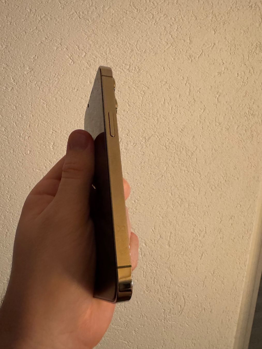 Apple Telefoni cellulari / Smartphones: Apple iPhone 13 Pro Gold - 128 GB – Usato da Eschenbach SG venduto da Patrick.original 3