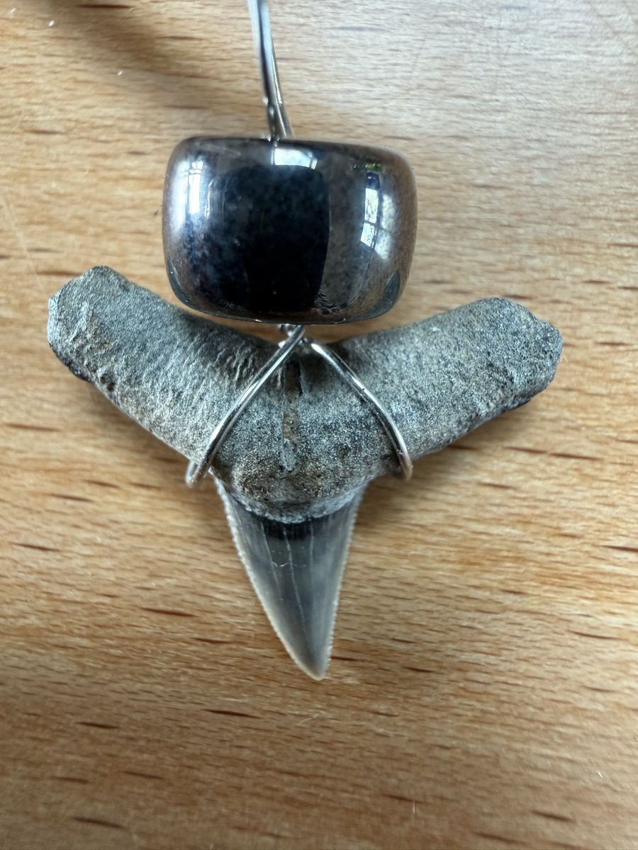 Catenine: Kette mit Haifischzahn-Anhänger – Usato da Grenchen venduto da Bastet007 4