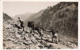 Diavolezza - Auf dem Weg zur...29.7.34 - Privat AK Maultier