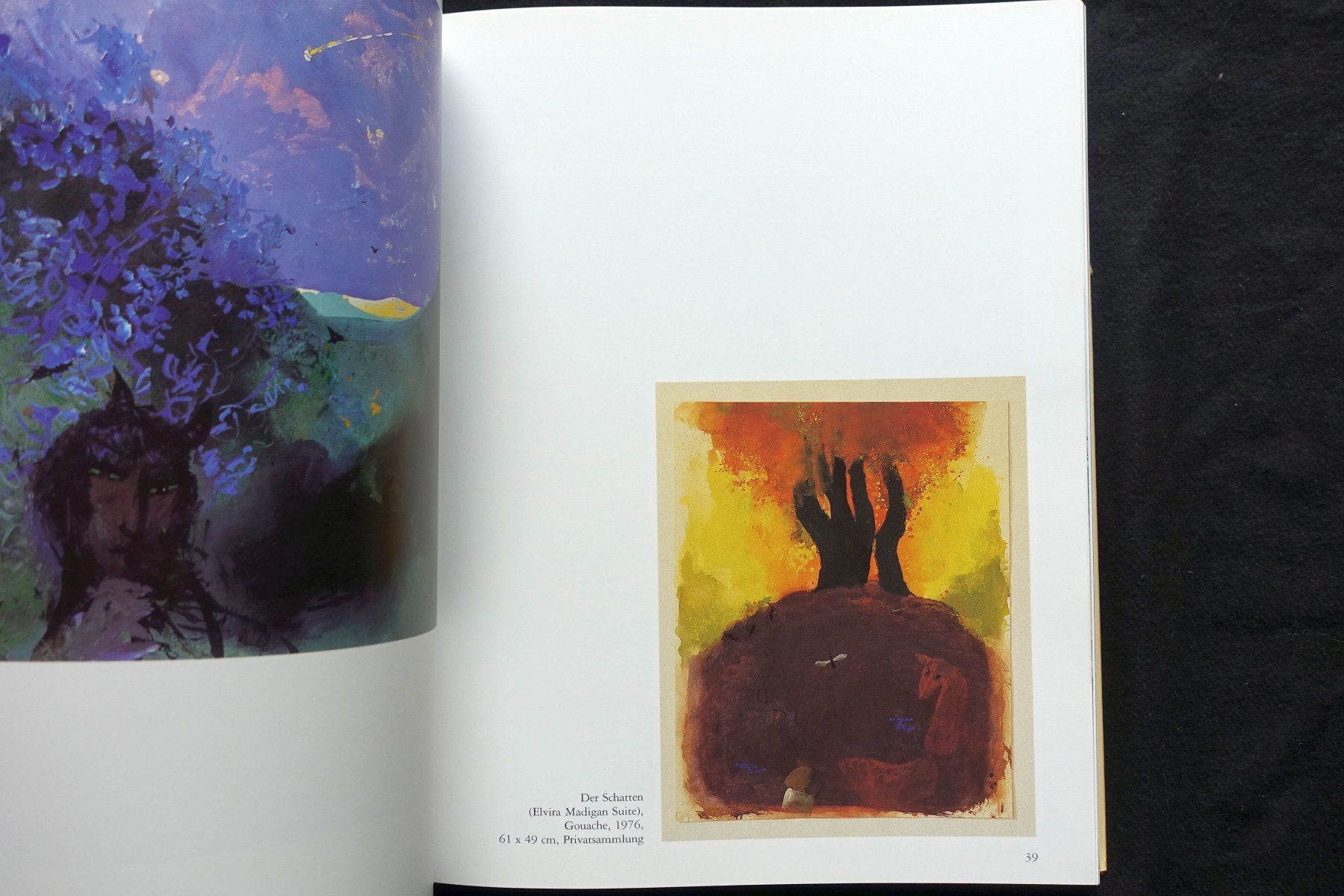 Libri: Adi Holzer, 1986, Galerie Carinthia – Usato da Gutenswil venduto da Optico 7