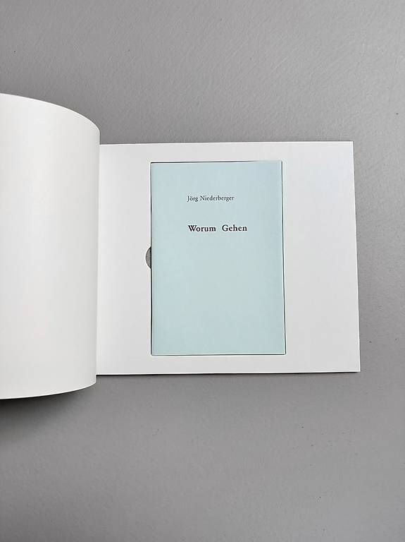 Libri: Kunstbuch, Jörg Niederberger – Usato da Brunnen venduto da sunoboruchikin 2