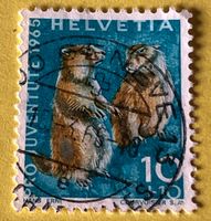 Nr.J 211 GESTEMPELT Alpenmurmeltier 1965 Geneve