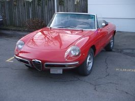 Alfa Romeo Giulia Spider 1750 Duetto 1967, aktuelle Zulassun