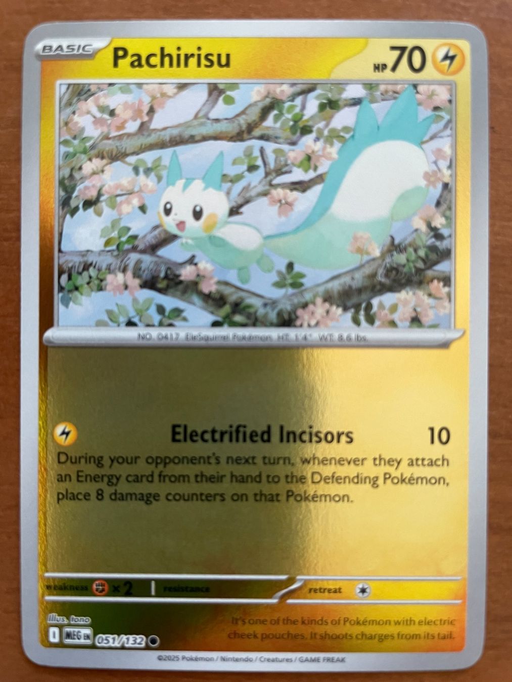Pokémon Carte collezionabili: Pokemon Pachirisu Reverse (Versand gratis) – Nuovo (secondo la descrizione) da Chur venduto da Angerson