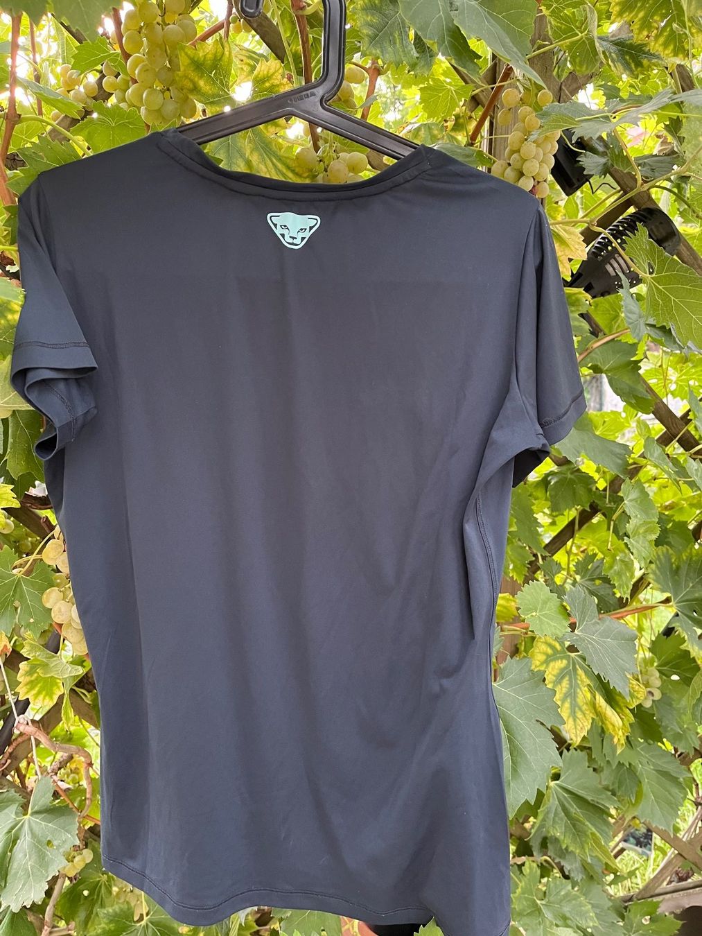 Dynafit T-shirt: Dynafit Shirt Gr. L – Usato da Hagenbuch ZH venduto da Gasmen 3