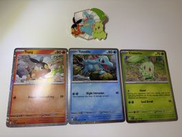 First Partner Pin Collection Karten Tepig•Totodile•Chikorita