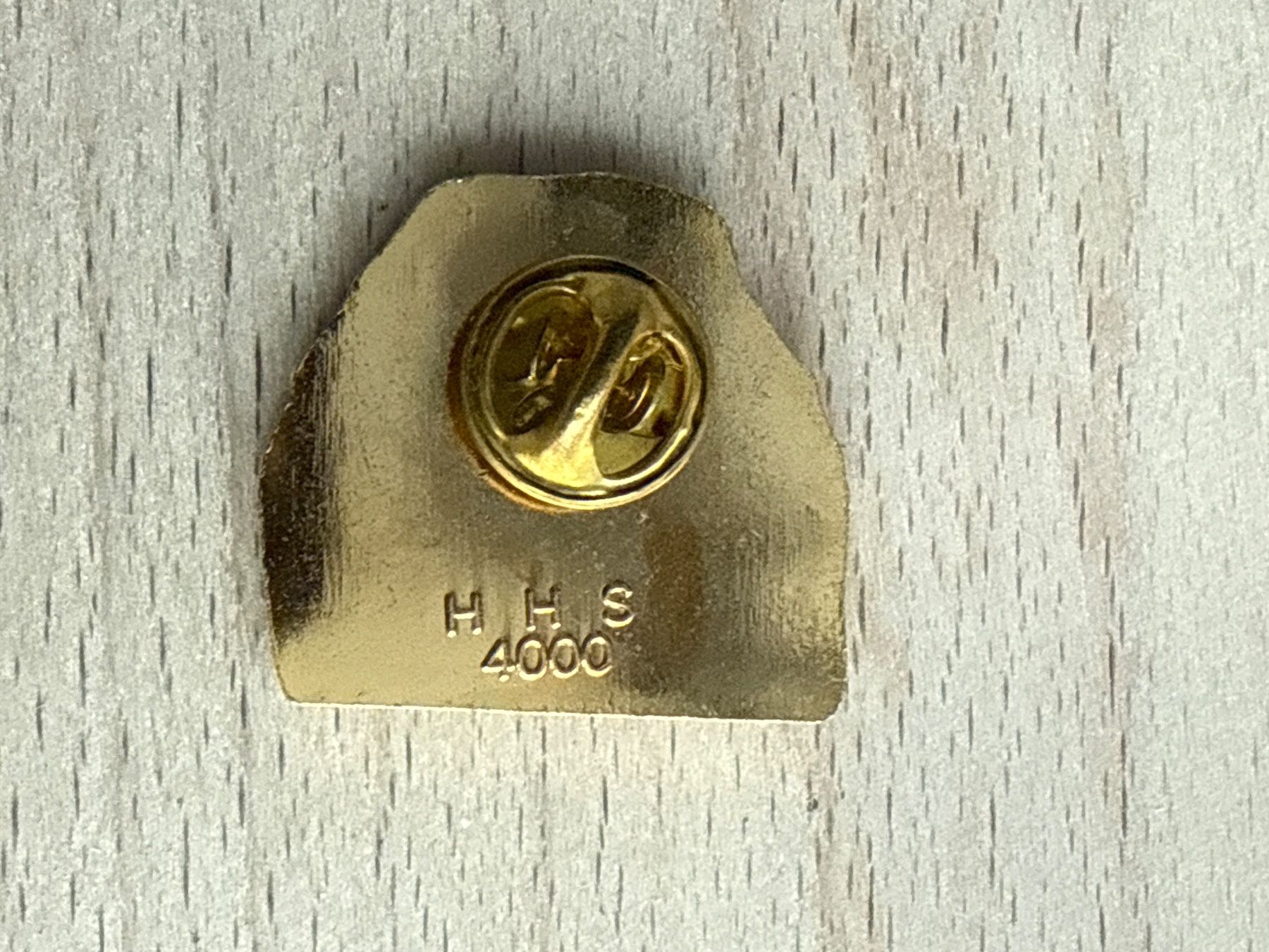 Placchette & Badge: Pin  Bernhardiner Hund – Usato da Glattbrugg venduto da Schweigmatt 1