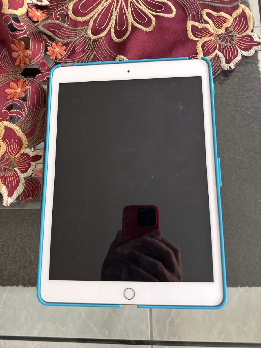 Apple Tablettes PC: IPad (7. Generation) 32 GB – D'occasion à Lupfig par asg_5tqb 2