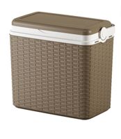 Kühlbox Rattan Obtik grau 24l
