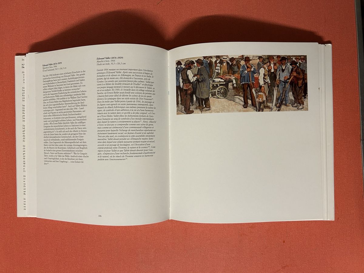 Libri: Rudolf Staechelin - Die Sammlung - Kunstbuch – Usato da Lanzenhäusern venduto da vic63 5