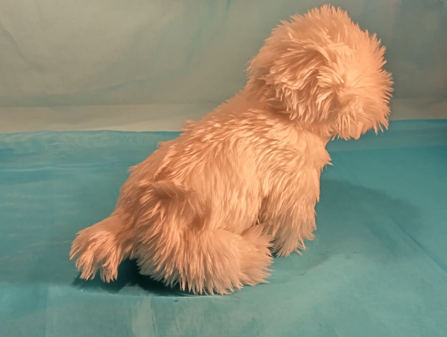 Giocattoli: Scottish Terrier, Plüsch, 30cm – Usato da Bellach venduto da JingleCherry 2