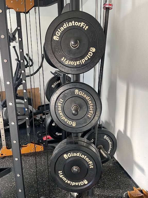 Hanteln & Gewichte: GladiatorFit Hantelscheiben / Bumper Plates Ø51 mm – Gebraucht aus Chur von fabianvenzin