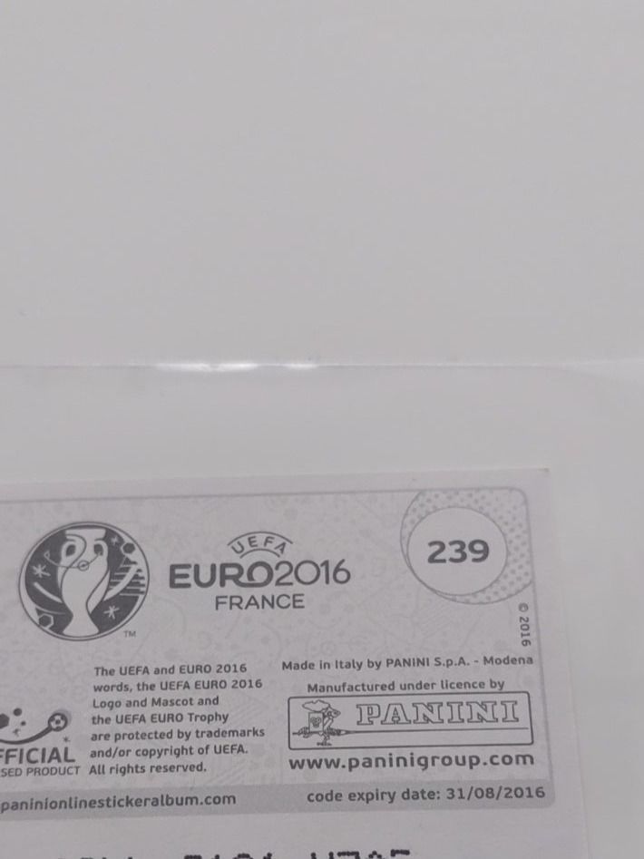 Panini Carte collezionabili: Nordirland Mannschaft Glitzerbild EM 2016 – Usato da Köniz venduto da Toyscollect 1