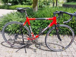 Rennrad SCHOR Carbon rot schwarz