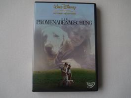DIE PROMENDENMISCHUNG (1972) - Disney