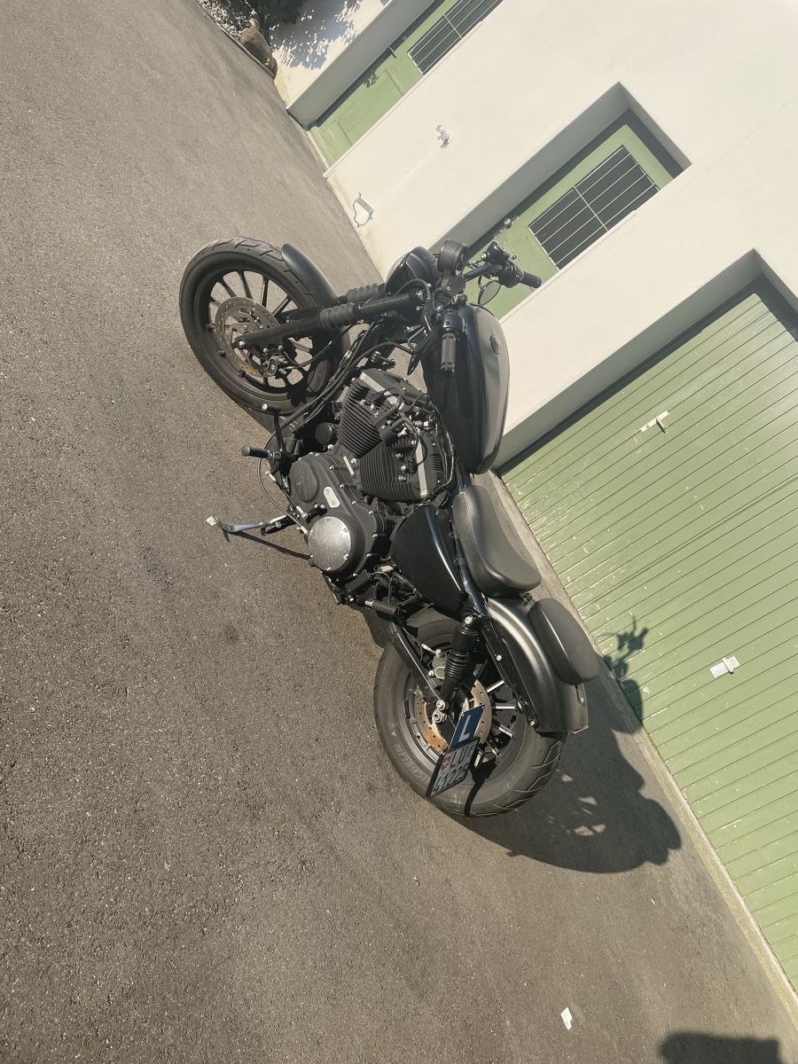 Harley-Davidson Chopper: Harley Davidson Sportster 883 – Usato da Cham venduto da dan_xnt9 1