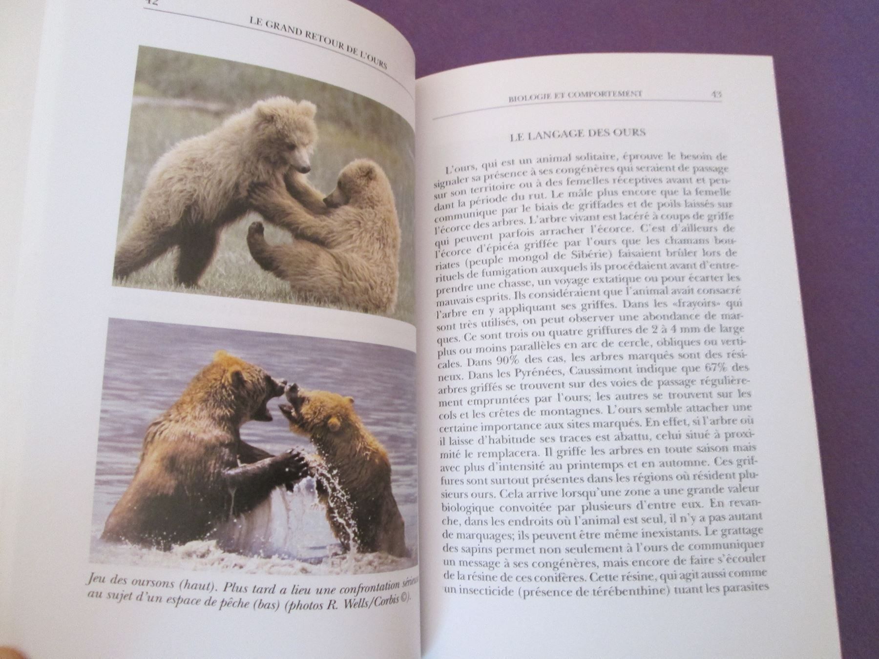 Libri: Le grand retour de l'ours – Usato da Neuchâtel venduto da Dualseele 5