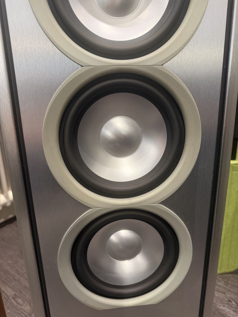 Piega Casse acustiche: Piega C 8 Ltd (Händler) – Usato da dietlikon venduto da avspalinger 6