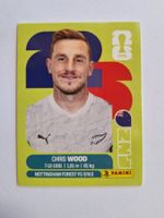 Panini Chris Wood NZL 17